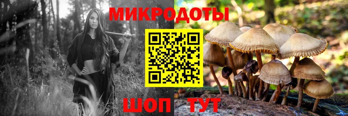 Псилоцибиновые грибы мухоморы  Вход с VPN  Галлюциногенные грибы мухоморы  Гулькевичи 